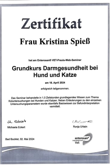 Zertifikat von Kristina Spieß - Grundkurs der Darmgesundheit beim Hund