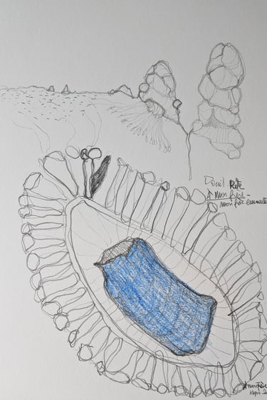 karine-nguyen-van-tham-A mon frère , dessin mediumnique, mine graphite