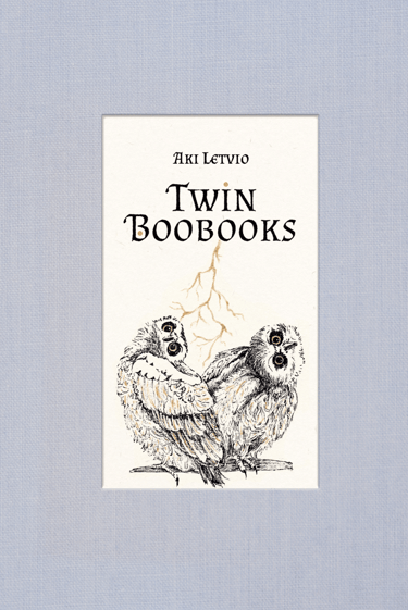 a book cover of two owls and a lightning bolt classic fairytale style