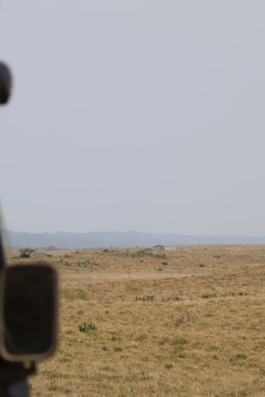 image of a land rover stopped in a remote location