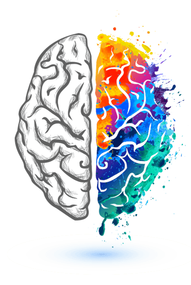 a brain with a colorfull right hemisphere and a black and white left hemisphere