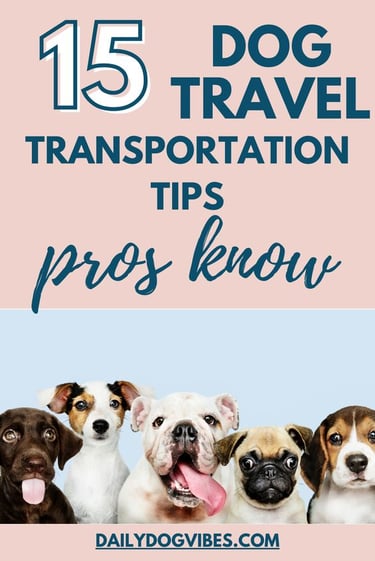15 dog travel tips