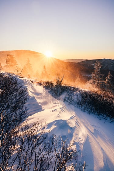 Golden sunrise over a snowy mountain ridge with blowing snow and winter pine trees.