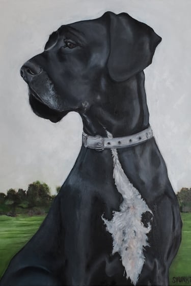 Oil painting of a black Great Dane with a white chest patch sitting in a green field.