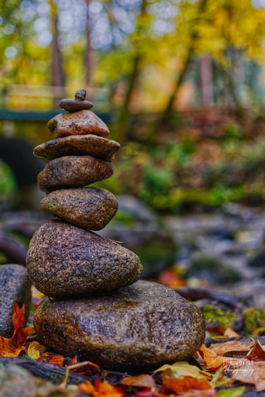 a stack of rocks sitting on top of a pile of leaves taken by Jordan Boyle of JJ Everitt Photography