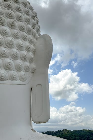Kandy Sri Maha Bodhi Viharaya