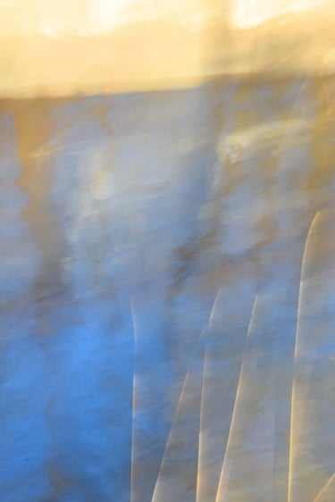 painterly photo by a canal with grass in the foreground