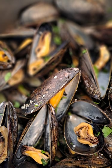 Steamed Mussels