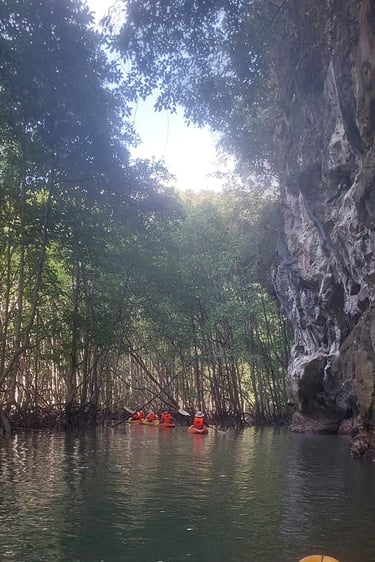 krabi ao thalane bay mangrove forest kayaking