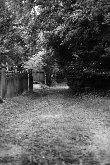 Black and white photo of a shaded garden path lined with a wooden picket fence and lush trees.