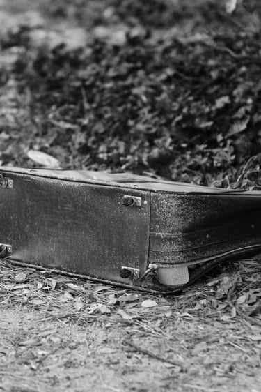 A vintage leather briefcase abandoned on a leaf-covered forest floor in black and white.