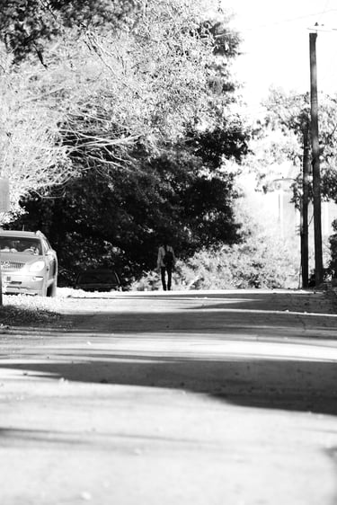 Black and white street photography of a suburban road with a car, trees, and speed limit sign.