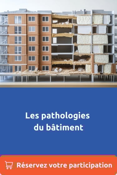 les pathologies du bâtiment