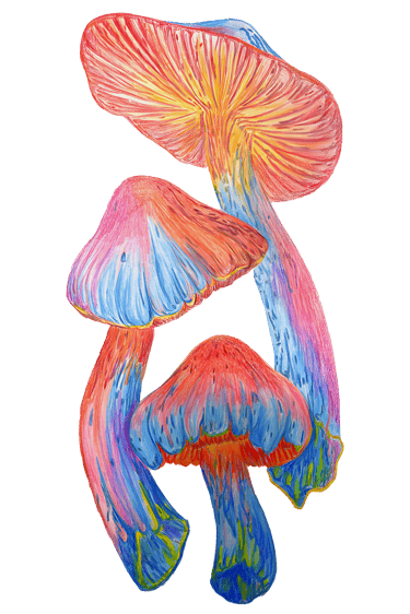 "Abstract Mushrooms" by Sezer Ali