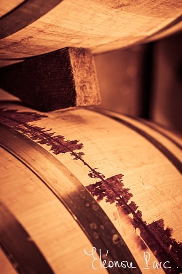 Secret des Dieux série Que le Vin Fût ref QV-02 ©Eléonore Parc