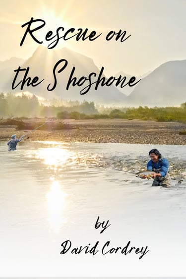 Rescue on the Shoshone Cover Image