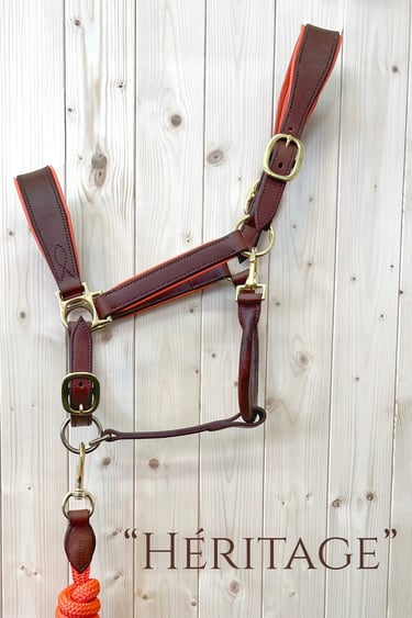 licol en cuir Héritage sellerie etter luxe artisanat sellier Genève suisse