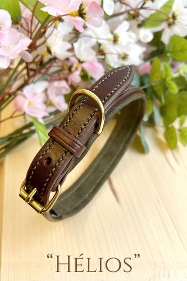 collier Hélios chien cuir Genève Suisse cousu main artisanat sellerie Etter 