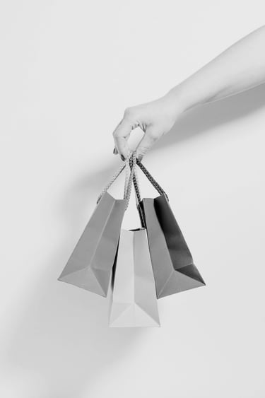 a person holding three shopping bags | fashion translation