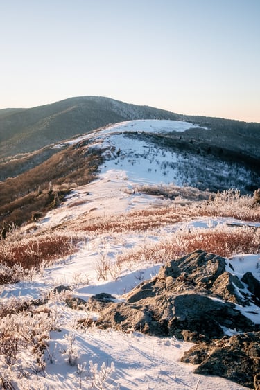 Snow-covered Appalachian mountain ridge during a winter sunrise with frosted plants and rocks.
