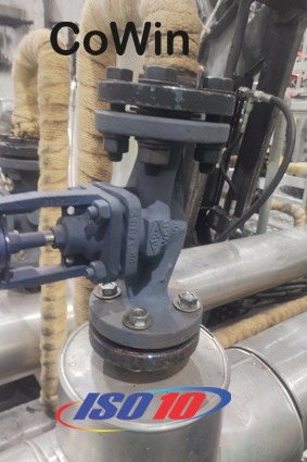 Industrial CoWin globe valve and ISO 10 jaqueta térmica pra válvula globo