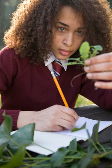 A Cambridge maths student studying maths after school in our cambridge maths online tutoring