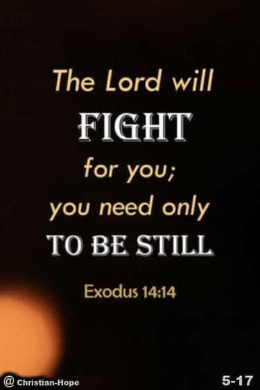 The Lord Will Fight For You