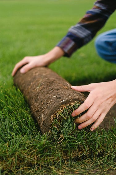 Turf grass installation and landscaping implementation – Yie Yang Landscape