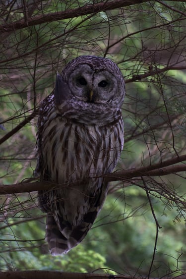 "Who's who" - Vancouver, Canada