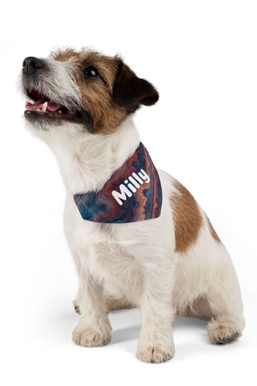 dog wearing mandana collar Milly