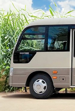 Mini Bus para 18 personas