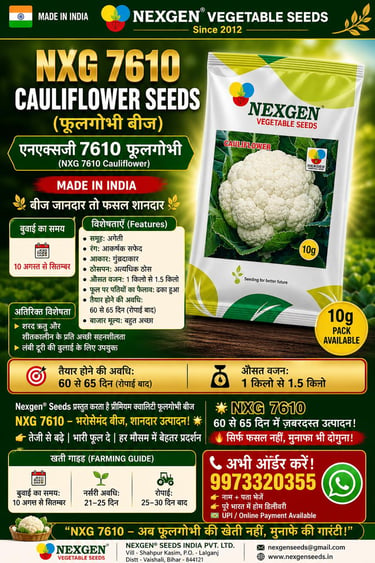 Nexgen NXG 7610 cauliflower seeds packet featuring a fresh white cauliflower head with green leaves.
