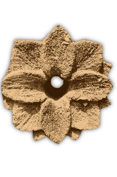 Fleur de pierre