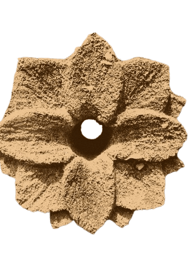 Fleur de pierre