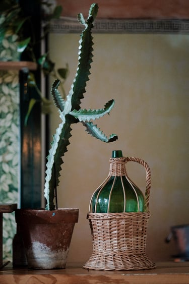 a cactus plant in a wicker basket with a green bottle
