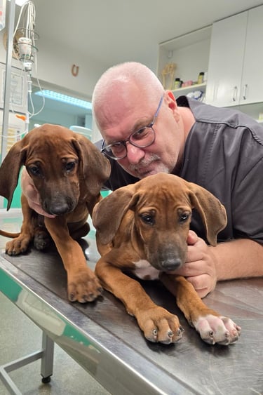 Dr Vladimir Ćirković