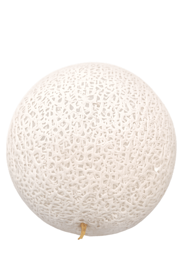 Melon