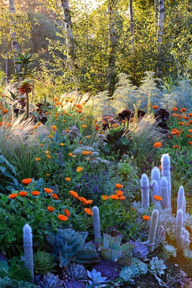 Dense naturalistic planting with orange flowers, blue accents, grasses and seasonal textures in a li