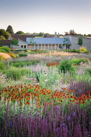 Piet Oudolf-style perennial meadow garden with colorful flowers, grasses and layered seasonal planti