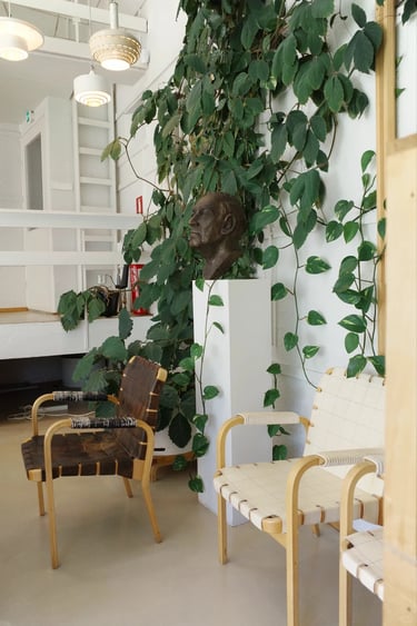 Bright interior with Alvar Aalto style chairs, greenery and natural light for a cozy modern home