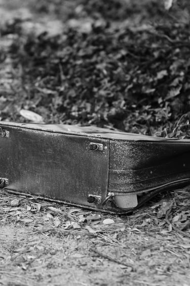 A vintage leather briefcase abandoned on a leaf-covered forest floor in black and white.