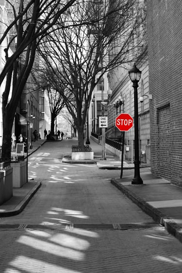 A red stop sign stands out in a black and white urban alleyway with bare winter trees.