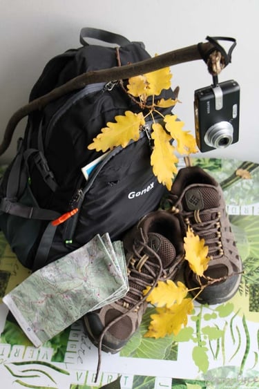 Ormulyce's hollow portrait.