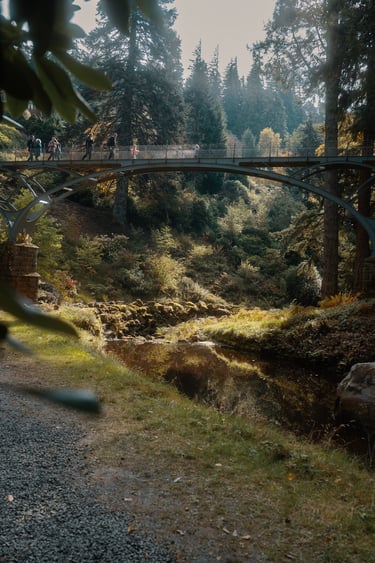 In a forest there is a river and a bridge high above it with people walking across.