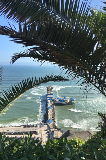 sea view with palm leafs