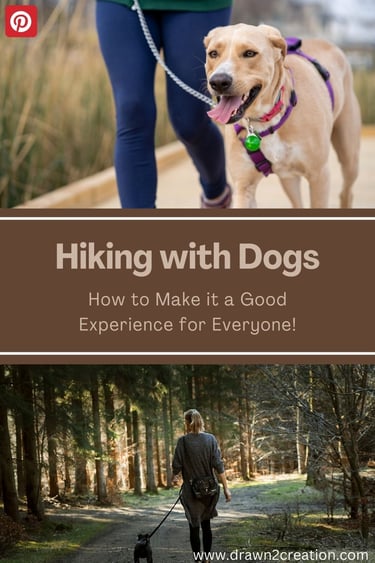 Dog on leash, dog and lady hiking with dog on leash