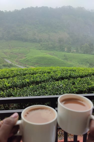 Having coffee at Zero degree jungle resort looking at tea estate.