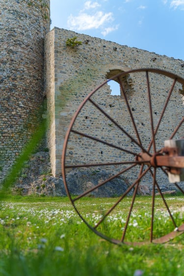 a wheelbarrowd wheel with a wheelbarrowd wheel