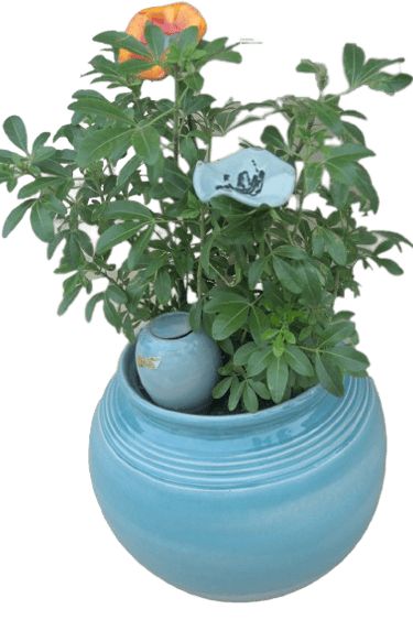 Pot de fleur Boule bleu turquoise