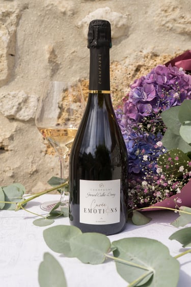 a bottle of wine and a glass of wine